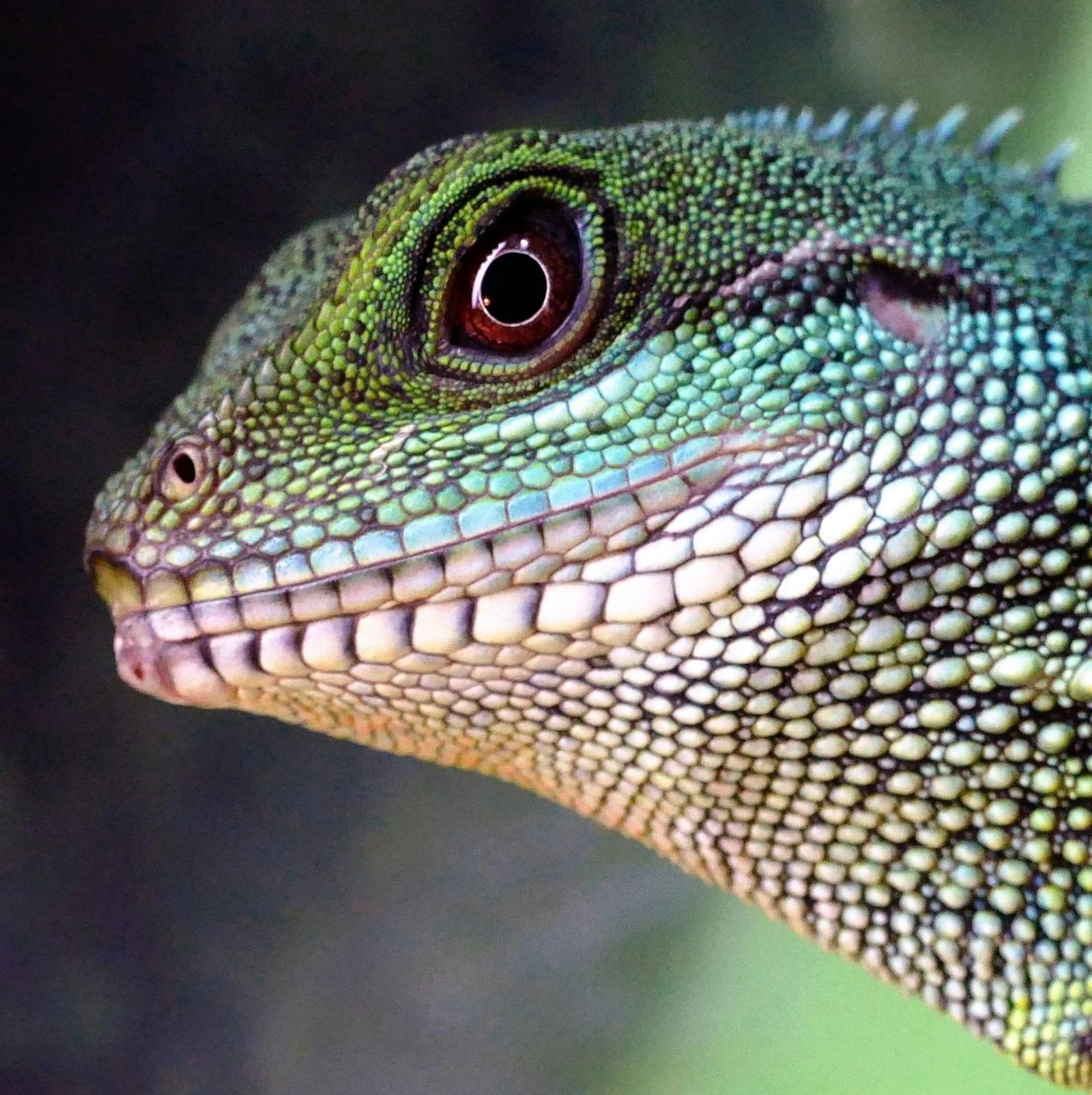 Pexels Photo 321899 321899 Scaled E1754997977830