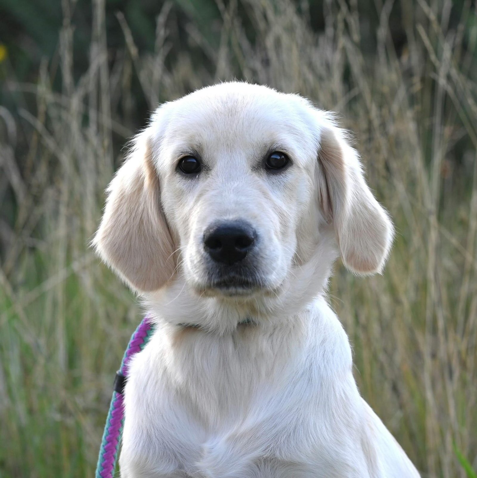 Pexels Photo 33381891 33381891 Scaled E1754997945715