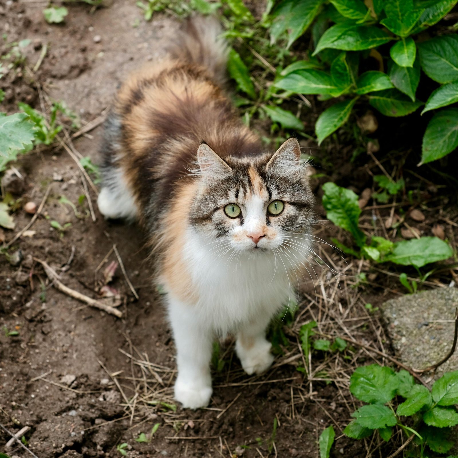 Pexels Photo 33394806 33394806 Scaled