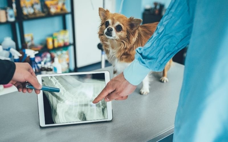 diagnostics +imaging pic